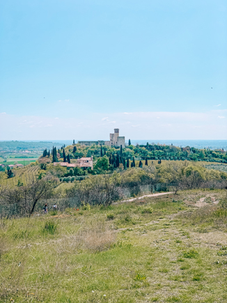 panorama castello di montorio, Escursione a Verona con il cane