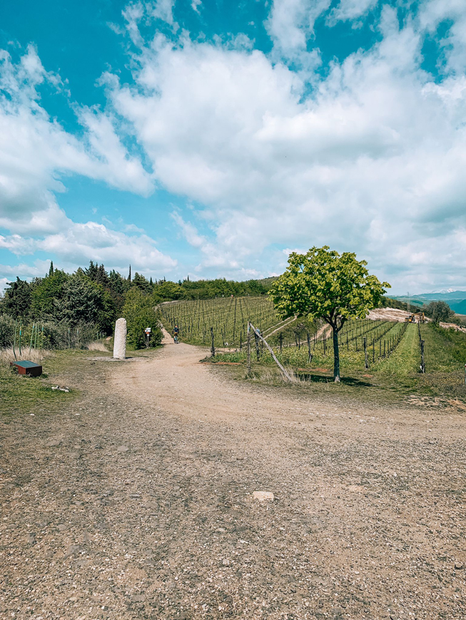 Panorama dell'escursione a Verona con il cane