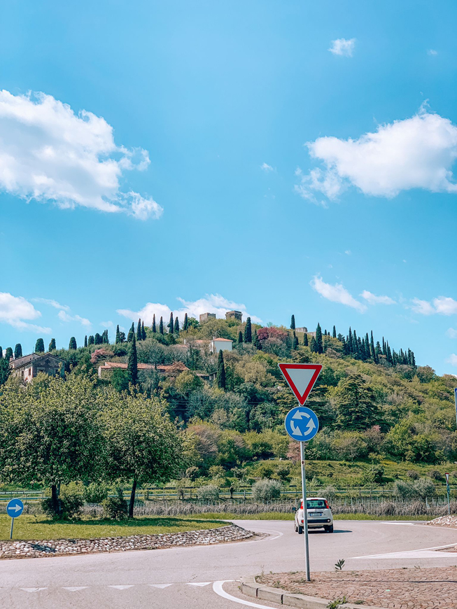 percorso verso castello di montorio, Escursione a Verona con il cane
